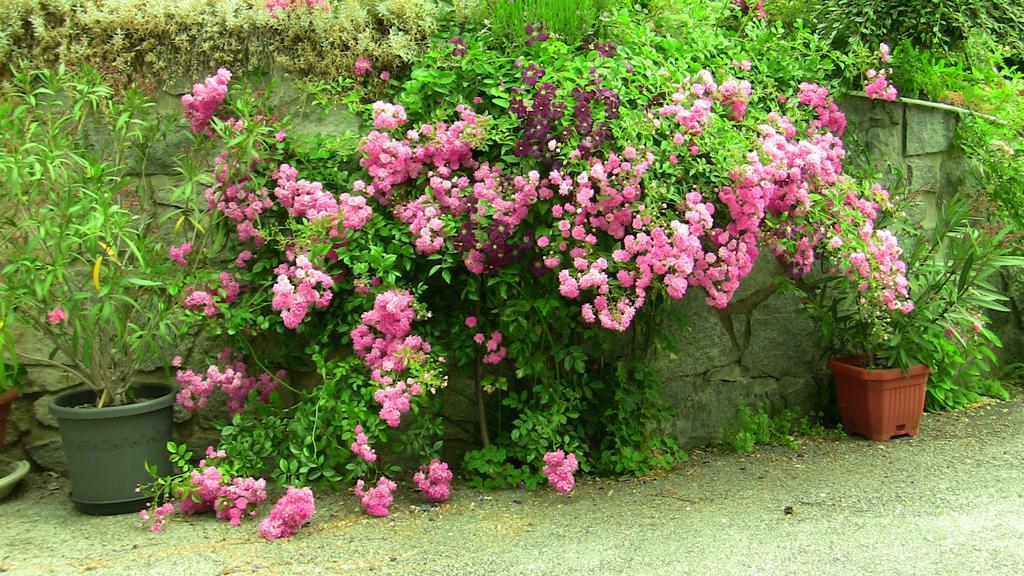 Keseberg * Lienz
